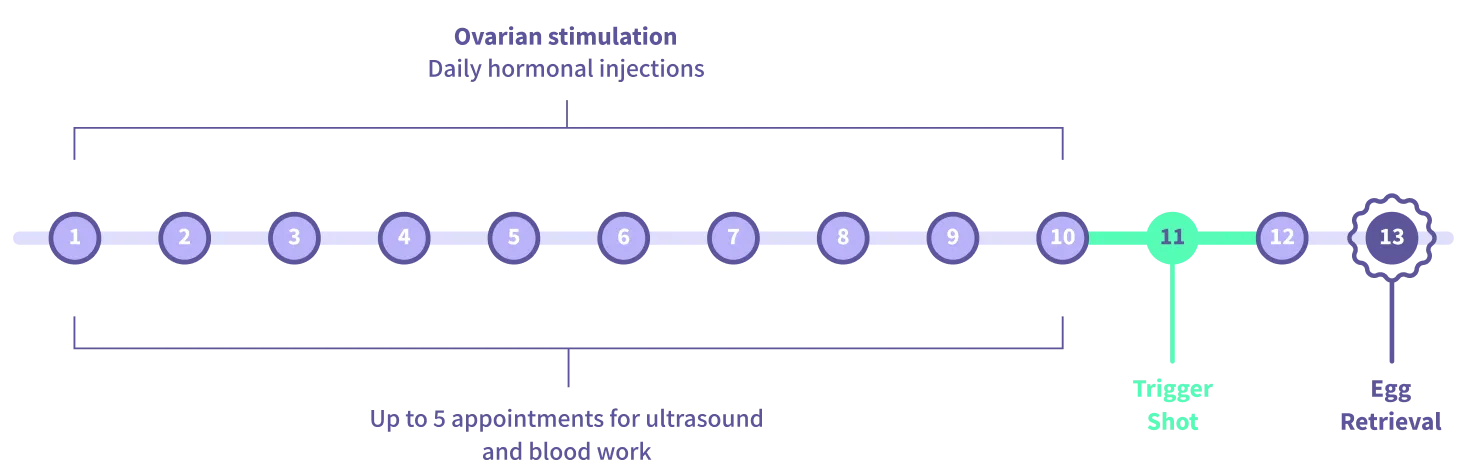 Graph of daily hormonal injections for ovarian stimulation
